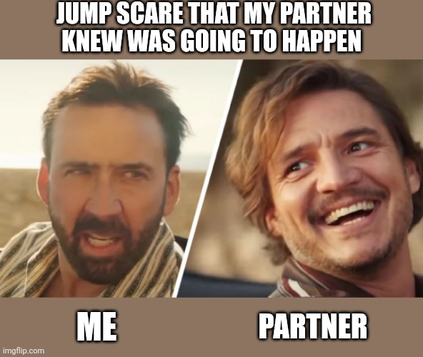 Ha Sucker | JUMP SCARE THAT MY PARTNER KNEW WAS GOING TO HAPPEN; ME; PARTNER | image tagged in nick cage and pedro pascal | made w/ Imgflip meme maker
