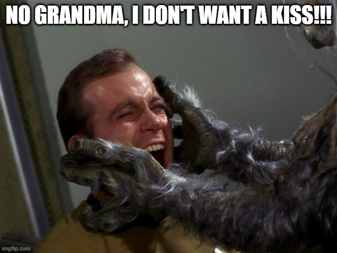 Away Grandma | NO GRANDMA, I DON'T WANT A KISS!!! | image tagged in star trek | made w/ Imgflip meme maker