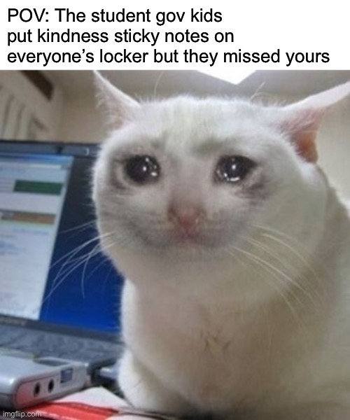 True story | POV: The student gov kids put kindness sticky notes on everyone’s locker but they missed yours | image tagged in crying cat,student life | made w/ Imgflip meme maker