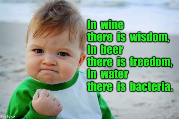 Comparing liquids | In  wine  there  is  wisdom,
In  beer  there  is  freedom,
In  water  there  is  bacteria. | image tagged in memes,success kid original,wine,beer | made w/ Imgflip meme maker