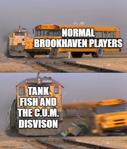 Tank Fish in a nutshell | NORMAL BROOKHAVEN PLAYERS; TANK FISH AND THE C.U.M. DISVISON | image tagged in a train hitting a school bus | made w/ Imgflip meme maker