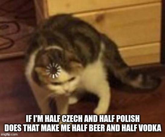 image tagged in loading cat,czech,poland | made w/ Imgflip meme maker
