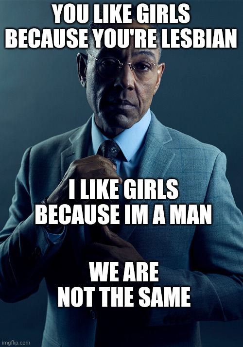 . | YOU LIKE GIRLS BECAUSE YOU'RE LESBIAN; I LIKE GIRLS BECAUSE IM A MAN; WE ARE NOT THE SAME | image tagged in gus fring we are not the same | made w/ Imgflip meme maker