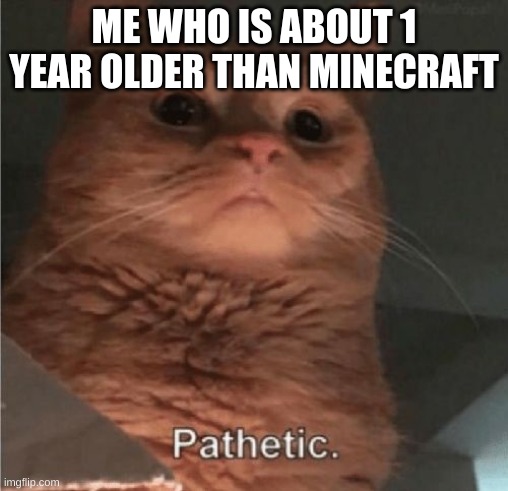 Pathetic Cat | ME WHO IS ABOUT 1 YEAR OLDER THAN MINECRAFT | image tagged in pathetic cat | made w/ Imgflip meme maker