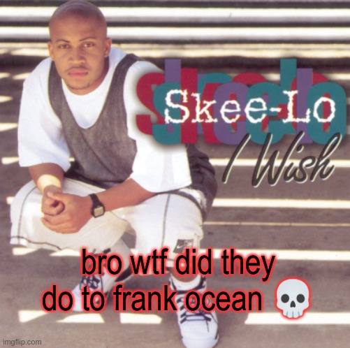 he WAS in coachella | bro wtf did they do to frank ocean 💀 | image tagged in skee-lo | made w/ Imgflip meme maker