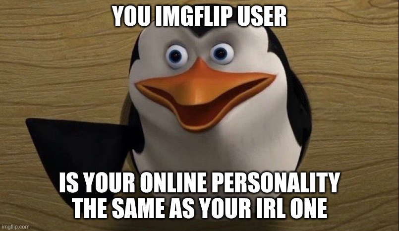 YOU IMGFLIP USER; IS YOUR ONLINE PERSONALITY THE SAME AS YOUR IRL ONE | made w/ Imgflip meme maker