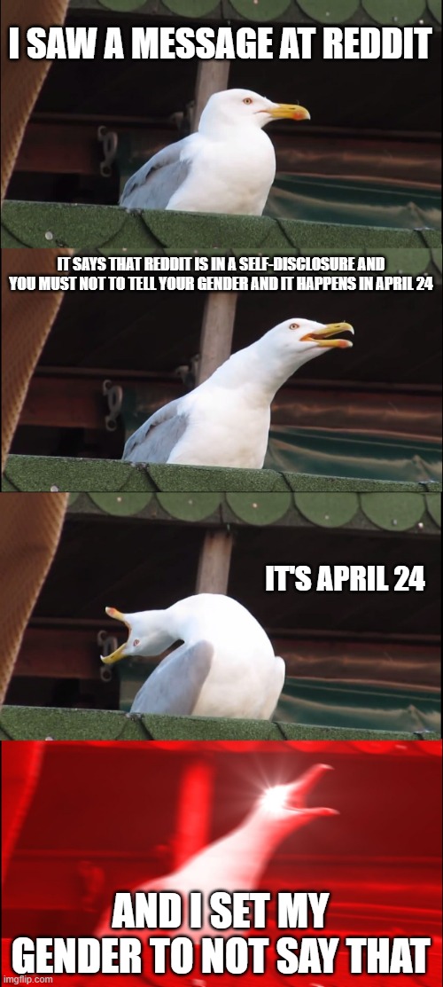 Crap.avi | I SAW A MESSAGE AT REDDIT; IT SAYS THAT REDDIT IS IN A SELF-DISCLOSURE AND YOU MUST NOT TO TELL YOUR GENDER AND IT HAPPENS IN APRIL 24; IT'S APRIL 24; AND I SET MY GENDER TO NOT SAY THAT | image tagged in memes,inhaling seagull,reddit | made w/ Imgflip meme maker