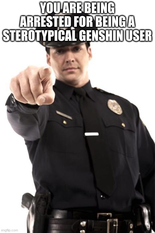 Police | YOU ARE BEING ARRESTED FOR BEING A STEROTYPICAL GENSHIN USER | image tagged in police | made w/ Imgflip meme maker