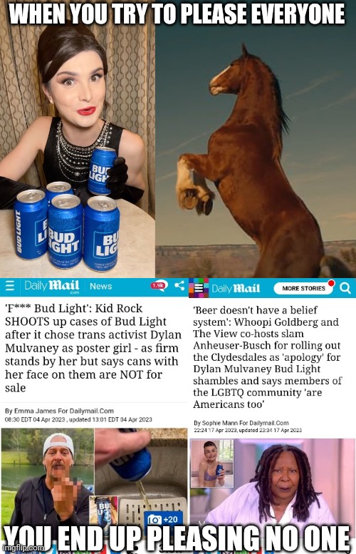 Budweiser made a pro-America Clydesdale ad, now they're getting backlash from the left | WHEN YOU TRY TO PLEASE EVERYONE; YOU END UP PLEASING NO ONE | image tagged in bud light,budweiser,dylan mulvaney,kid rock,whoopi goldberg | made w/ Imgflip meme maker