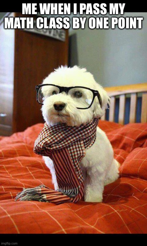 Intelligent Dog Meme | ME WHEN I PASS MY MATH CLASS BY ONE POINT | image tagged in memes,intelligent dog | made w/ Imgflip meme maker