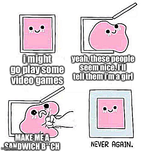 Never again | i might go play some video games; yeah, these people seem nice. I’ll tell them i’m a girl; MAKE ME A SANDWICH B**CH | image tagged in never again | made w/ Imgflip meme maker