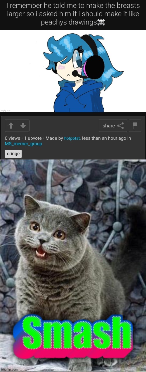 image tagged in cat smash | made w/ Imgflip meme maker