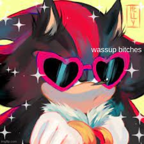 chic shadow | wassup bitches | image tagged in chic shadow | made w/ Imgflip meme maker
