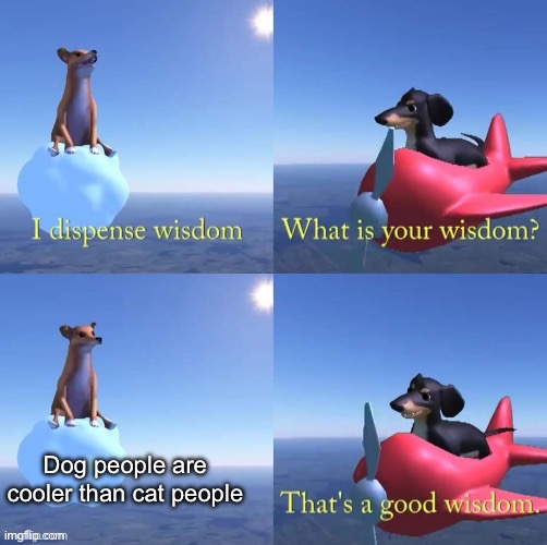Wisdom dog | Dog people are cooler than cat people | image tagged in wisdom dog | made w/ Imgflip meme maker