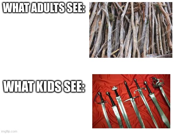 WHAT ADULTS SEE:; WHAT KIDS SEE: | image tagged in memes,kids | made w/ Imgflip meme maker