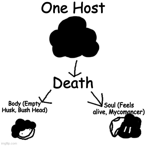 EUREKA!! (possible new lore) | One Host; Death; Soul (Feels alive, Mycomancer); Body (Empty Husk, Bush Head) | made w/ Imgflip meme maker