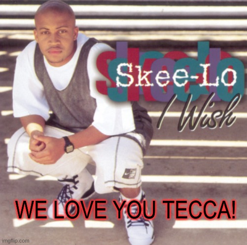 W producer | WE LOVE YOU TECCA! | image tagged in skee-lo | made w/ Imgflip meme maker