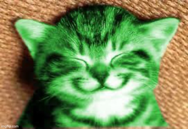 happy RayCat | image tagged in happy raycat | made w/ Imgflip meme maker