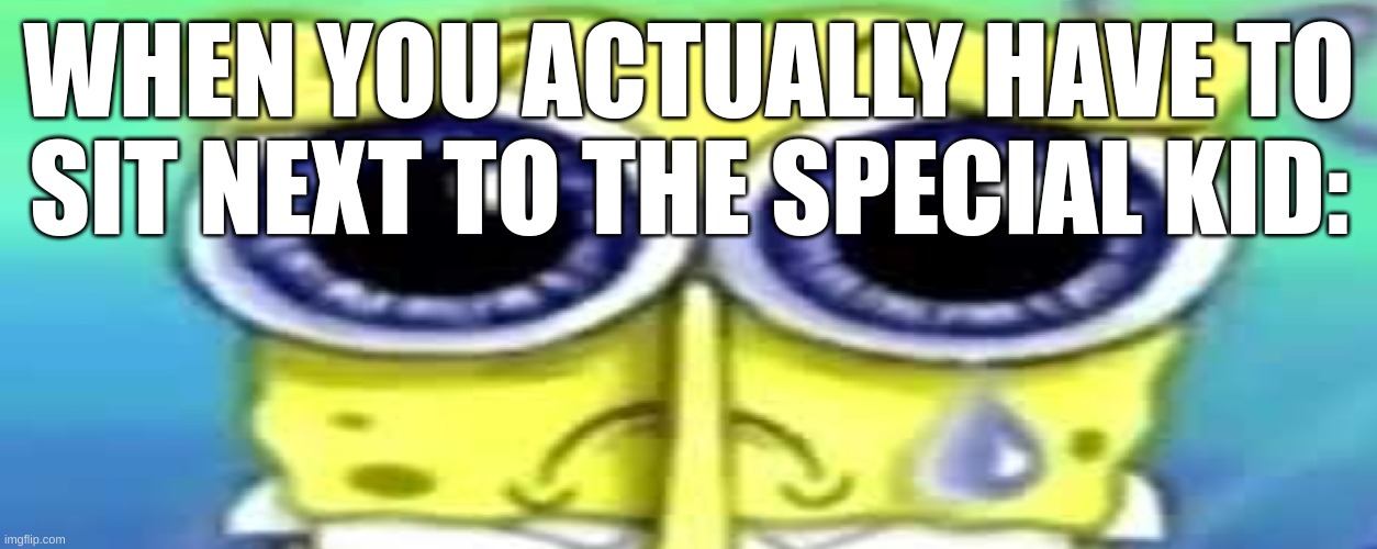 Sad Spong | WHEN YOU ACTUALLY HAVE TO SIT NEXT TO THE SPECIAL KID: | image tagged in sad spong | made w/ Imgflip meme maker