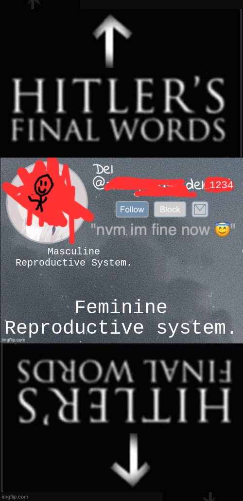 Masculine Reproductive System. Feminine Reproductive system. | image tagged in hitlers final words,del real 2 | made w/ Imgflip meme maker