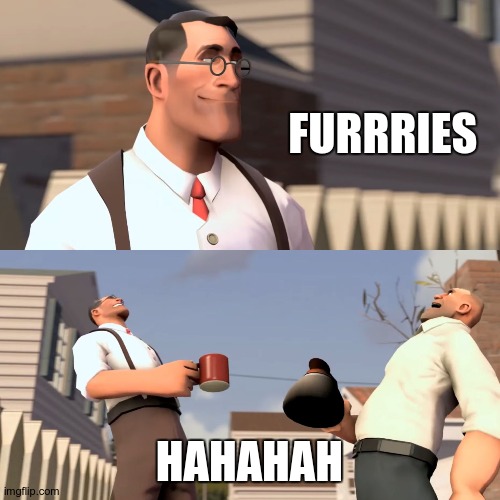 Furries | FURRRIES; HAHAHAH | image tagged in women hahahaha | made w/ Imgflip meme maker