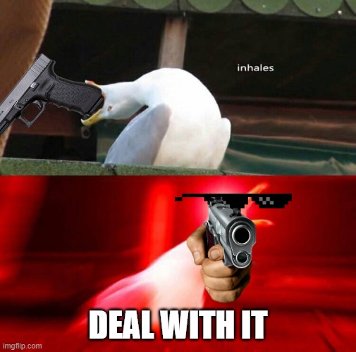 gun seagull | DEAL WITH IT | image tagged in inhaling seagull | made w/ Imgflip meme maker