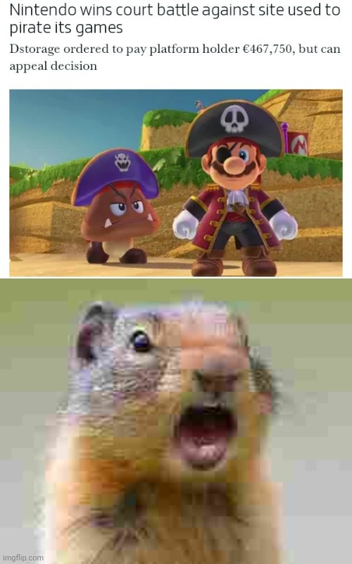 The court battle | image tagged in gasp,nintendo,court battle,gaming,memes,pirate | made w/ Imgflip meme maker