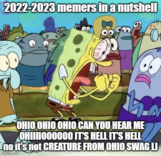 Every single time it's the Ohio memes. | 2022-2023 memers in a nutshell; OHIO OHIO OHIO CAN YOU HEAR ME OHIIIIOOOOOO IT'S HELL IT'S HELL no it's not CREATURE FROM OHIO SWAG LI | image tagged in spongebob yelling | made w/ Imgflip meme maker