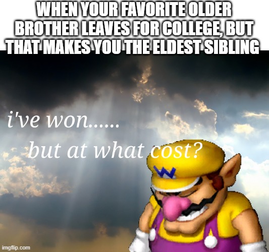 Ok bye bye | WHEN YOUR FAVORITE OLDER BROTHER LEAVES FOR COLLEGE, BUT THAT MAKES YOU THE ELDEST SIBLING | image tagged in i have won but at what cost | made w/ Imgflip meme maker