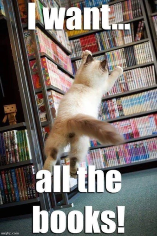When i found manga in the library | image tagged in cats,memes | made w/ Imgflip meme maker