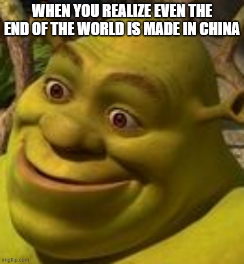 Shrek Face | WHEN YOU REALIZE EVEN THE END OF THE WORLD IS MADE IN CHINA | image tagged in shrek face | made w/ Imgflip meme maker