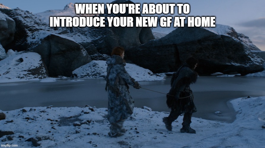 WHEN YOU'RE ABOUT TO INTRODUCE YOUR NEW GF AT HOME | image tagged in gameofthrones,johnsnow | made w/ Imgflip meme maker
