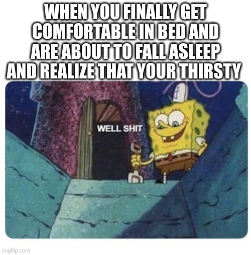 Every single night | WHEN YOU FINALLY GET COMFORTABLE IN BED AND ARE ABOUT TO FALL ASLEEP AND REALIZE THAT YOUR THIRSTY | image tagged in well shit spongebob edition,memes,lol | made w/ Imgflip meme maker