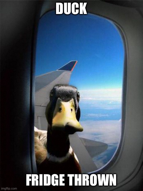 Airplane Duck | DUCK FRIDGE THROWN | image tagged in airplane duck | made w/ Imgflip meme maker