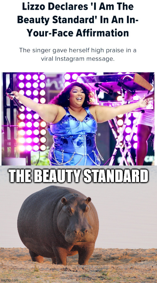 The Beauty Standard according to Lizzo | THE BEAUTY STANDARD | image tagged in lizzo,obesity,stereotypes,fat woman,fat people,hippopotamus | made w/ Imgflip meme maker