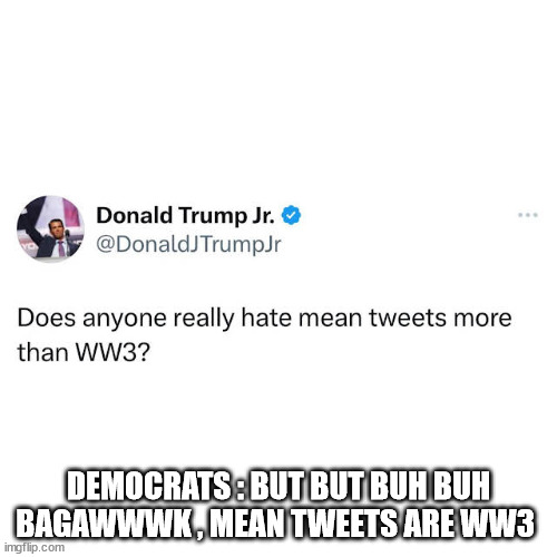 DEMOCRATS : BUT BUT BUH BUH BAGAWWWK , MEAN TWEETS ARE WW3 | made w/ Imgflip meme maker