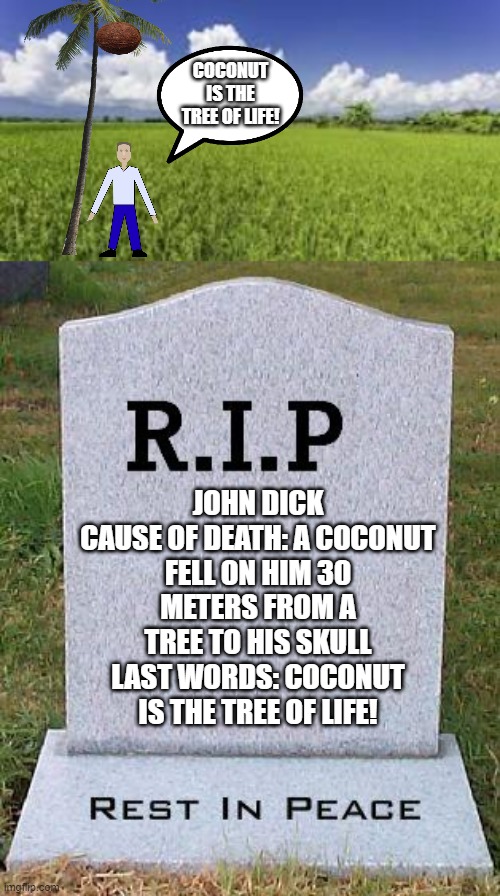 When the tree of life is the tree of death | COCONUT IS THE TREE OF LIFE! JOHN DICK
CAUSE OF DEATH: A COCONUT FELL ON HIM 30 METERS FROM A TREE TO HIS SKULL
LAST WORDS: COCONUT IS THE TREE OF LIFE! | image tagged in rip headstone,coconut,coconut tree,tree of life is also tree of death,rip | made w/ Imgflip meme maker