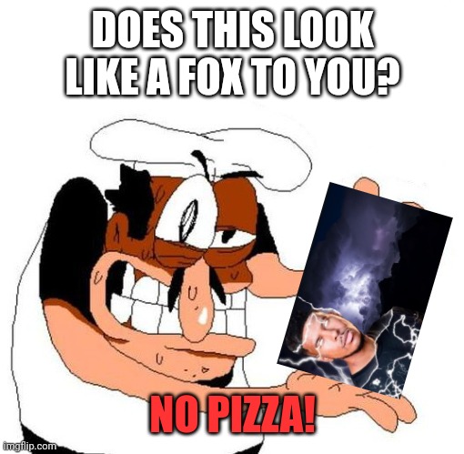 Peppino Awful | DOES THIS LOOK LIKE A FOX TO YOU? NO PIZZA! | image tagged in peppino awful | made w/ Imgflip meme maker