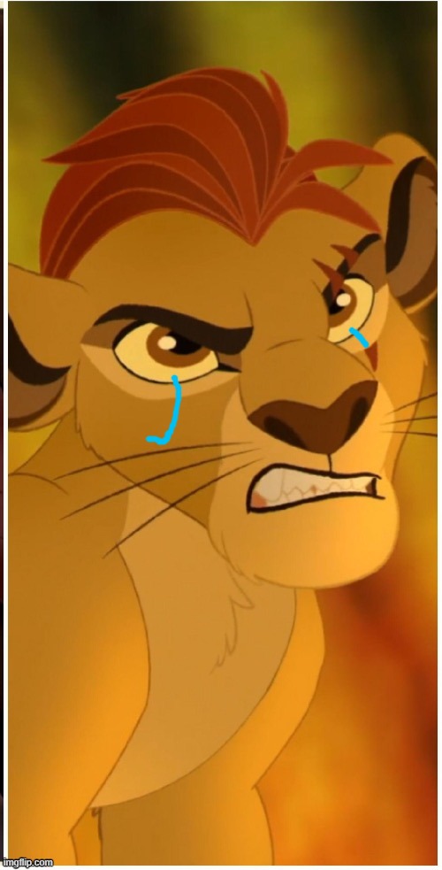 Proof Kion cried | image tagged in trash,the lion guard | made w/ Imgflip meme maker