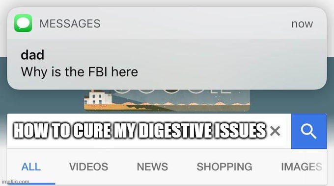 I have way more digestive diseases than any other system | HOW TO CURE MY DIGESTIVE ISSUES | image tagged in dad text why is the fbi here | made w/ Imgflip meme maker
