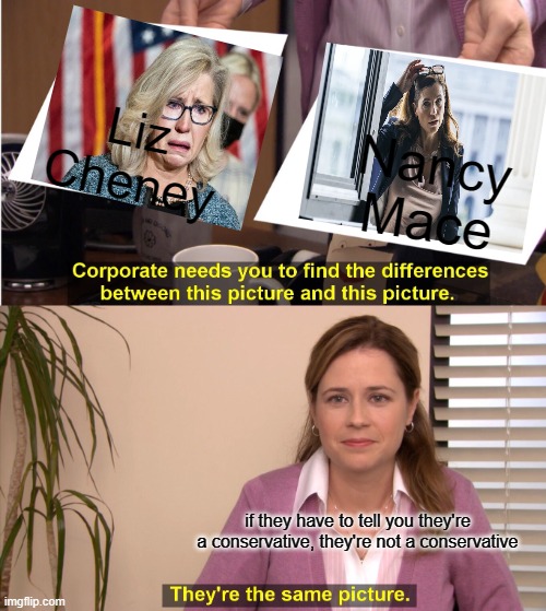 At least she's hot | Liz Cheney; Nancy Mace; if they have to tell you they're a conservative, they're not a conservative | image tagged in memes,they're the same picture | made w/ Imgflip meme maker