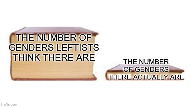 And the correct answer is two. | THE NUMBER OF GENDERS LEFTISTS THINK THERE ARE; THE NUMBER OF GENDERS THERE ACTUALLY ARE | image tagged in big book small book | made w/ Imgflip meme maker