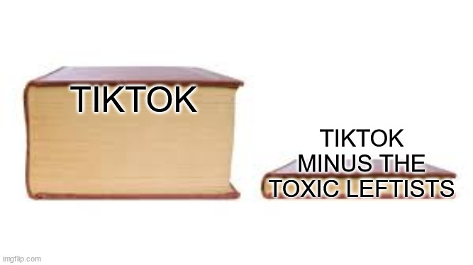 Big book small book | TIKTOK; TIKTOK MINUS THE TOXIC LEFTISTS | image tagged in big book small book | made w/ Imgflip meme maker