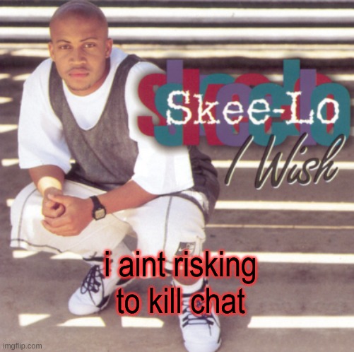Skee-Lo | i aint risking to kill chat | image tagged in skee-lo | made w/ Imgflip meme maker