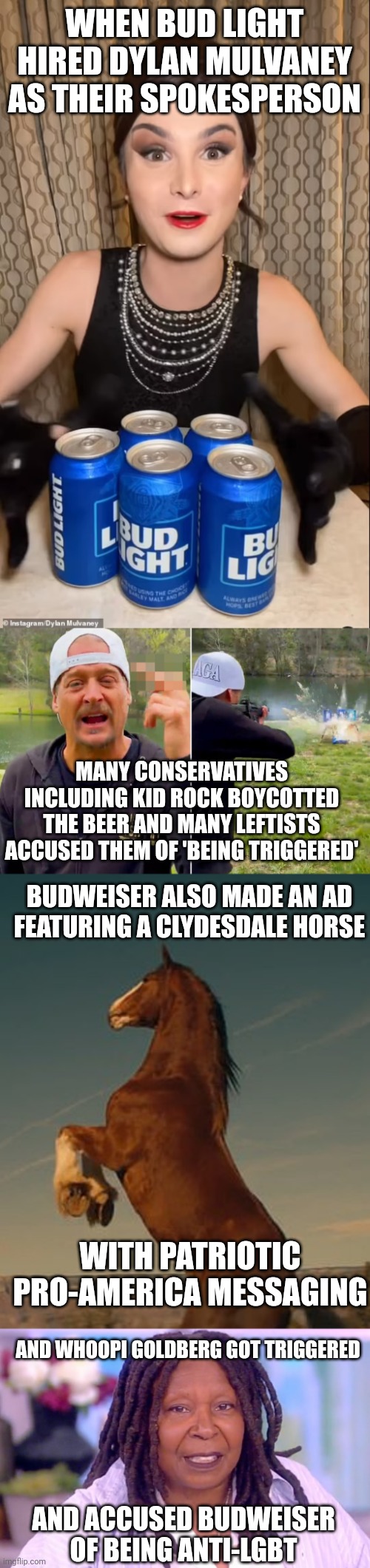You accuse conservatives of being triggered over a bud light ad but a leftist recently got triggered by a Budweiser ad | WHEN BUD LIGHT HIRED DYLAN MULVANEY AS THEIR SPOKESPERSON; MANY CONSERVATIVES INCLUDING KID ROCK BOYCOTTED THE BEER AND MANY LEFTISTS ACCUSED THEM OF 'BEING TRIGGERED'; BUDWEISER ALSO MADE AN AD FEATURING A CLYDESDALE HORSE; WITH PATRIOTIC PRO-AMERICA MESSAGING; AND WHOOPI GOLDBERG GOT TRIGGERED; AND ACCUSED BUDWEISER OF BEING ANTI-LGBT | image tagged in whoopi goldberg,kid rock,bud light,budweiser,liberal hypocrisy,stupid liberals | made w/ Imgflip meme maker