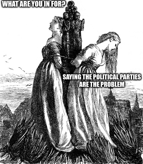 burned at the ballot | WHAT ARE YOU IN FOR? SAYING THE POLITICAL PARTIES
ARE THE PROBLEM | image tagged in witch burning what was your crime | made w/ Imgflip meme maker