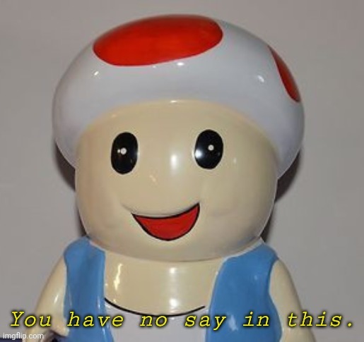 You have no say in this. | image tagged in you have no say in this | made w/ Imgflip meme maker