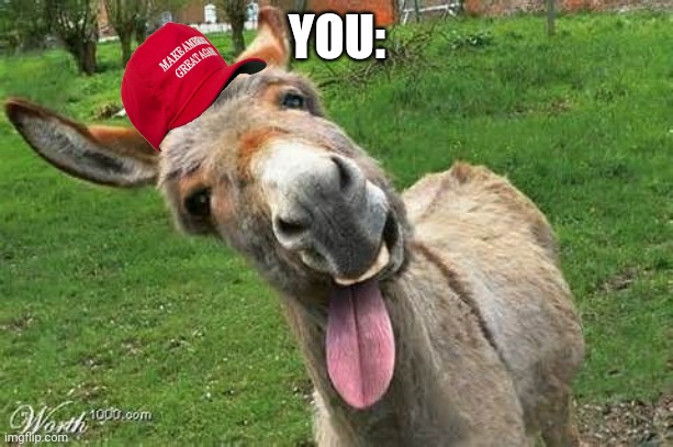 Laughing Donkey | YOU: | image tagged in laughing donkey | made w/ Imgflip meme maker