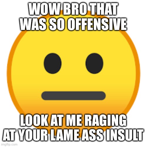Wow so funny | WOW BRO THAT WAS SO OFFENSIVE LOOK AT ME RAGING AT YOUR LAME ASS INSULT | image tagged in wow so funny | made w/ Imgflip meme maker