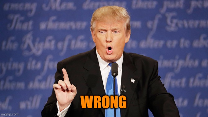 Donald Trump Wrong | WRONG | image tagged in donald trump wrong | made w/ Imgflip meme maker